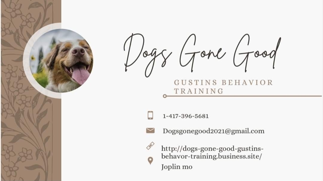 Dogs Gone Good Gustins Behavior Training