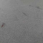 Photo n°1 de l'avis de Peter.. fait le 18/04/2022 à 09:35 sur le  BIG-Reisehotel à Bitterfeld-Wolfen