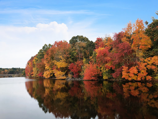 Coffee Shop «Starbucks», reviews and photos, 154 Turnpike Rd, Southborough, MA 01772, USA