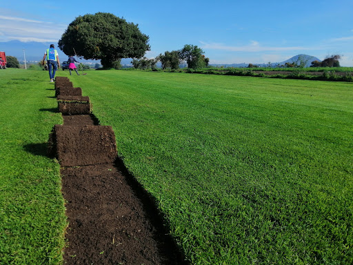 VerdePro - Jardineria y Paisajismo