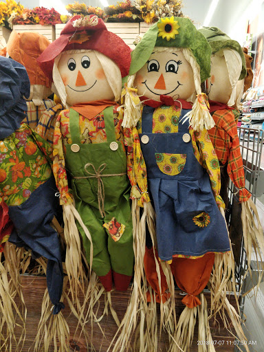 Craft Store «Michaels», reviews and photos, 217 Indian Lake Blvd #850, Hendersonville, TN 37075, USA