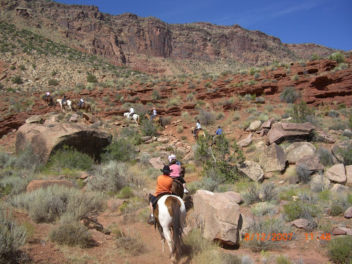 Winery «Moab Castle Creek Winery», reviews and photos, 14 UT-128, Moab, UT 84532, USA