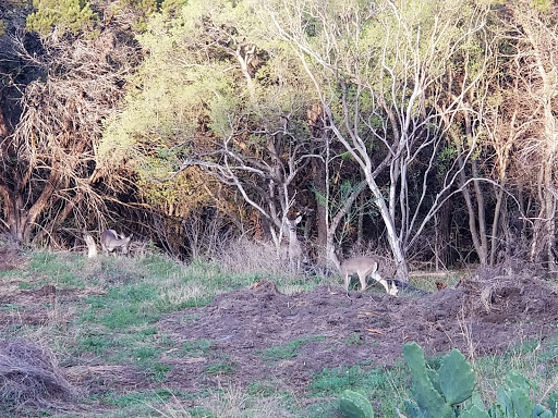 Park «Phil Hardberger Park», reviews and photos, 13203 Blanco Rd, San Antonio, TX 78216, USA