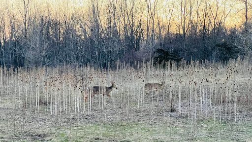 Nature Preserve «Buffalo Creek Forest Preserve», reviews and photos, 18163 W Checker Rd, Long Grove, IL 60047, USA