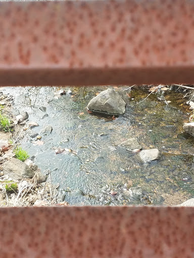 State Park «Alapocas Run State Park, Field 1-3 Parking», reviews and photos, 1521 Concord Pike, Wilmington, DE 19803, USA