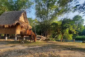 V FARM วีฟาร์ม : ขี่ม้า ล่องแก่ง ATV ปิคนิค แคมป์ปิ้ง นครนายก image