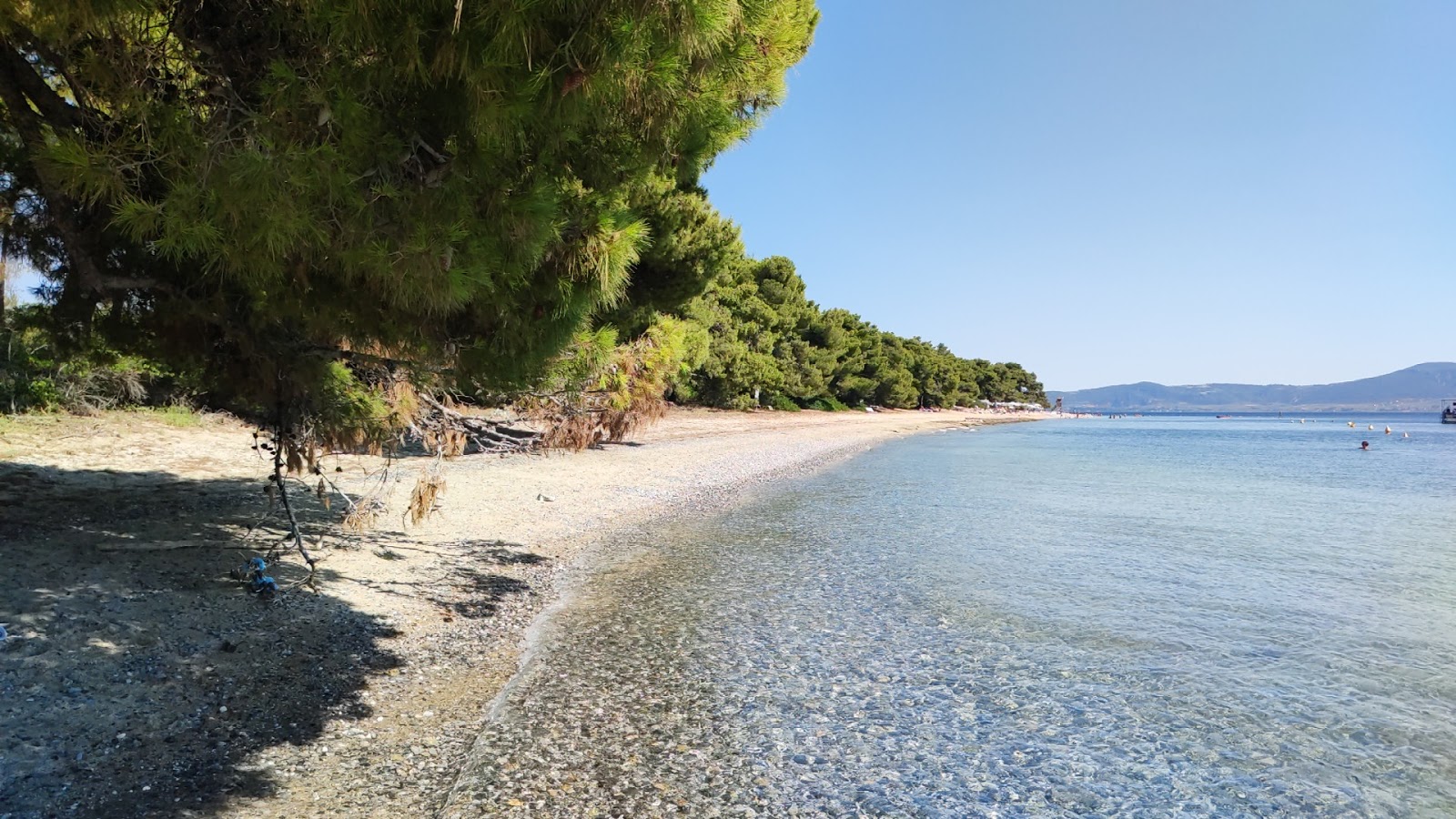 Φωτογραφία του Gregolimano beach με μικρός κόλπος