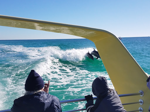 Boat Tour Agency «Sea Screamer», reviews and photos, 3605 Thomas Dr, Panama City, FL 32408, USA