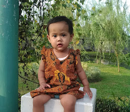 TAMAN WIJAYA KUSUMA photo