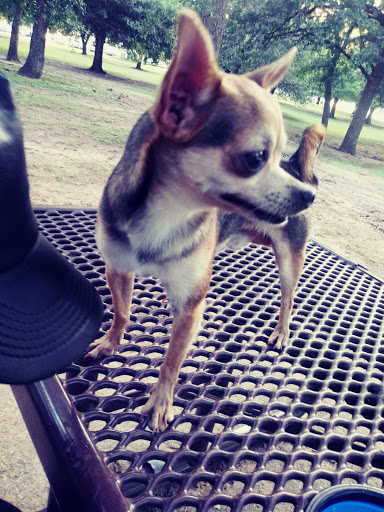 Park «Bowman Springs Park», reviews and photos, 7003 W Poly Webb Rd, Arlington, TX 76016, USA