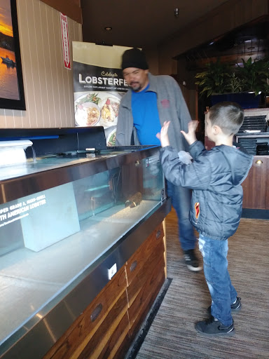 Shopping Mall «Cumberland Mall», reviews and photos, 3849 S Delsea Dr, Vineland, NJ 08360, USA