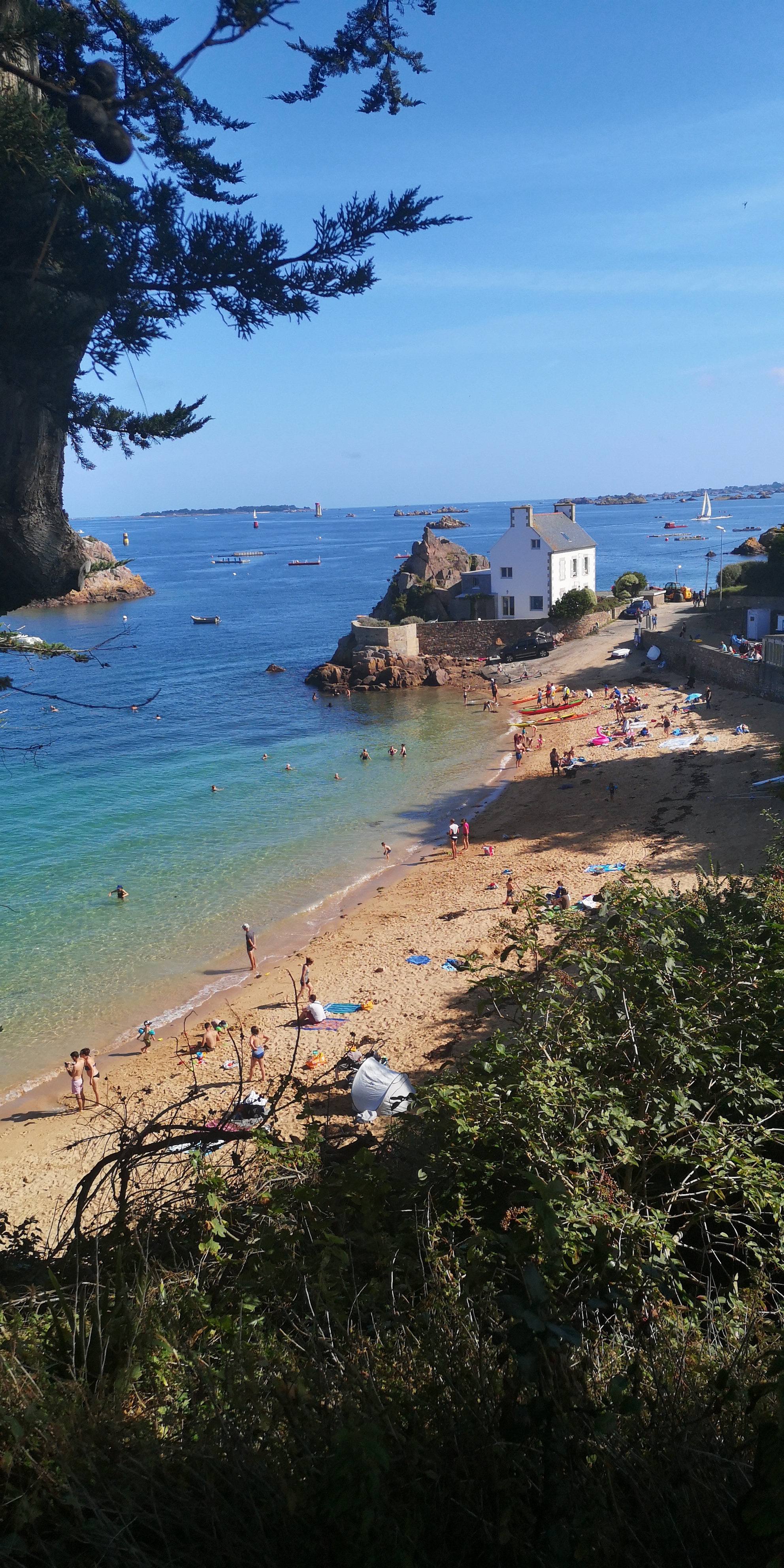 Photo n° 1 de l'avis de Step.y fait le 08/09/2019 à 21:21