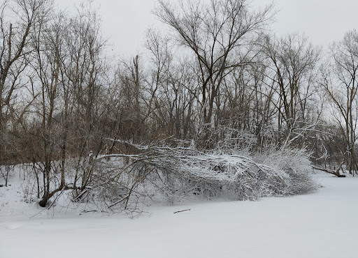 Nature Preserve «Maplewood Nature Center», reviews and photos, 2659 E 7th St, St Paul, MN 55119, USA
