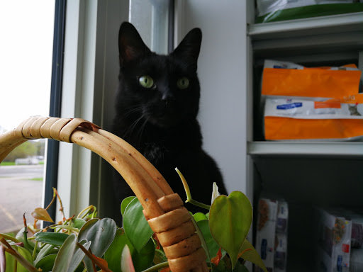 West Park Animal Hospital image