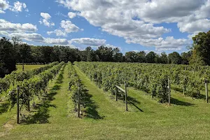 Butler Winery and Vineyards image