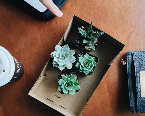 Florist «Wisteria Rockridge», reviews and photos, 6307 College Ave, Oakland, CA 94618, USA