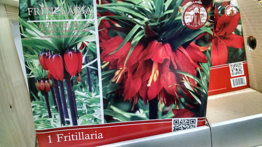 Home Improvement Store «Menards», reviews and photos, 320 Tyler Rd S, Red Wing, MN 55066, USA