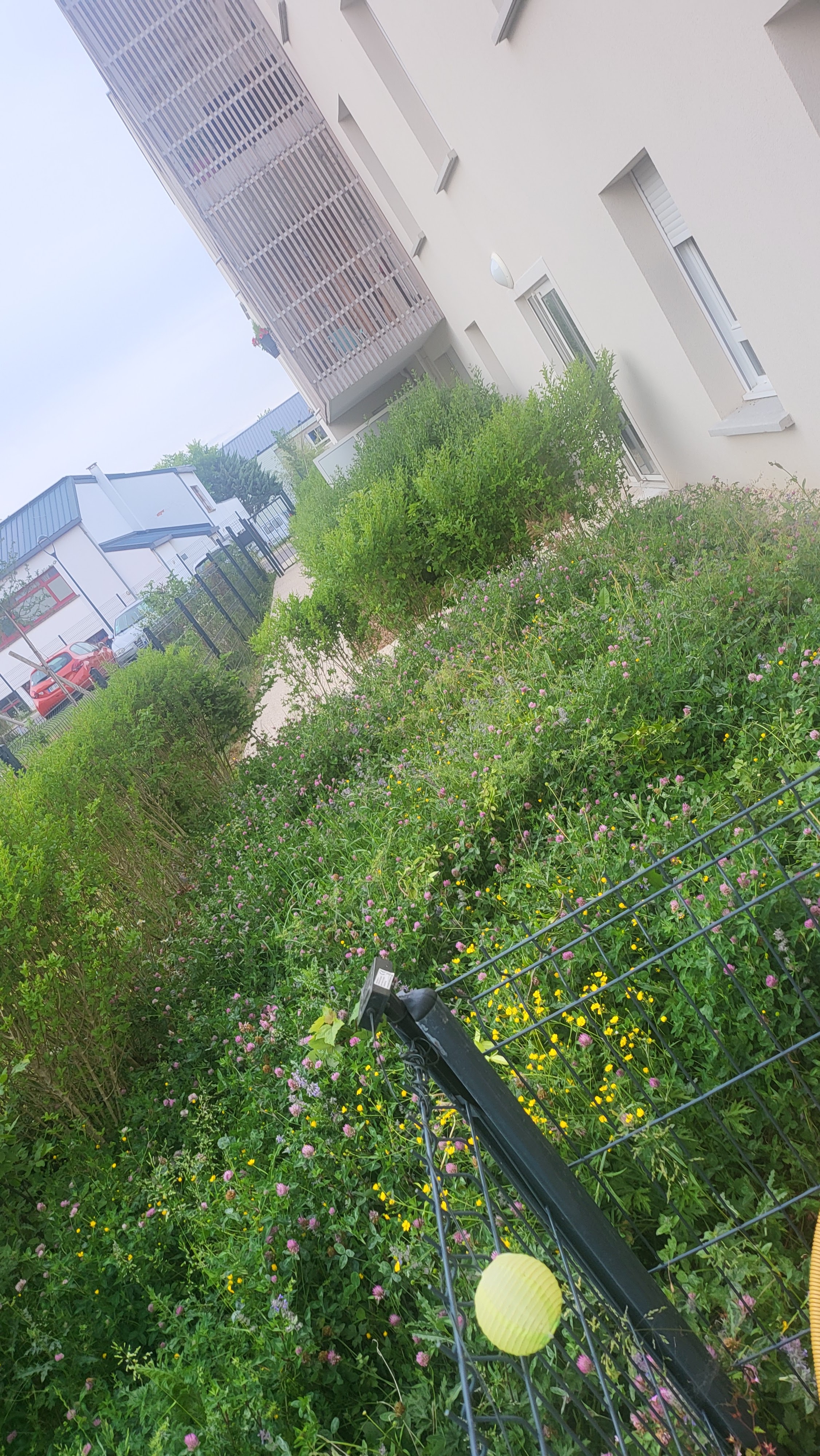 Photo n° 3 de l'avis de Florian.o fait le 22/05/2022 à 18:44