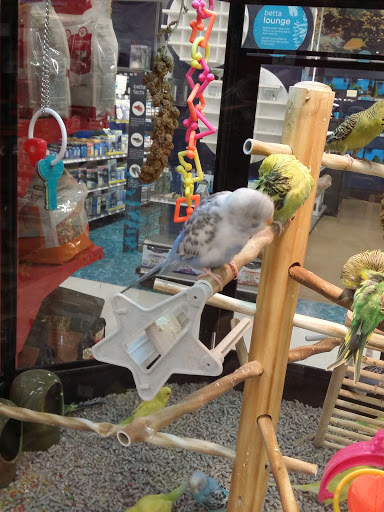 Pet Supply Store «Petco Animal Supplies», reviews and photos, 200 Triangle Shopping Center #230, Longview, WA 98632, USA