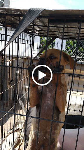 Animal Feed Store «Whittier Feed Store», reviews and photos, 12618 Penn St, Whittier, CA 90602, USA