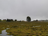 Peumalemu