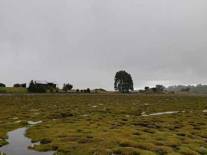 Peumalemu