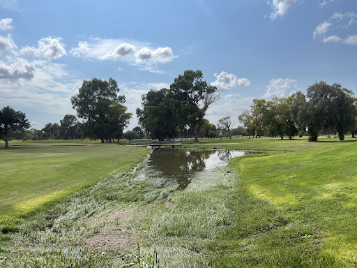 Golf Club «Randolph Golf Course», reviews and photos, 600 S Alvernon Way, Tucson, AZ 85711, USA