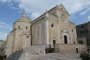 Gravina Cathedral image