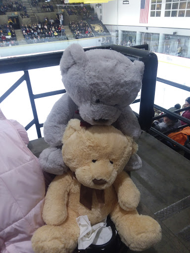 Stadium «Holleder Center», reviews and photos, Fenton Pl, West Point, NY 10996, USA