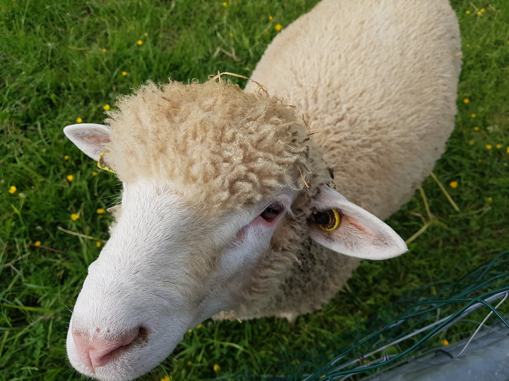 Photo n° 1 de l'avis de _oO. fait le 20/05/2019 à 21:20