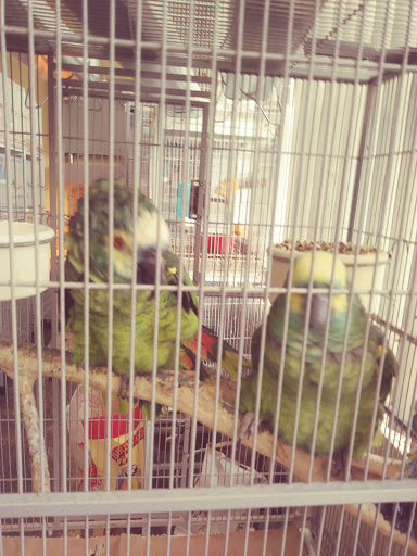 Pet Supply Store «El Granero Feed & Pet Supplies», reviews and photos, 2228 Church Ln, San Pablo, CA 94806, USA