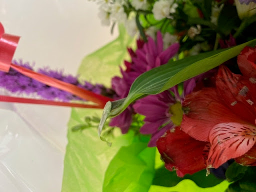 Florist «P Rogers & Co Florists», reviews and photos, 12 Pine Hill Ave, Stamford, CT 06906, USA