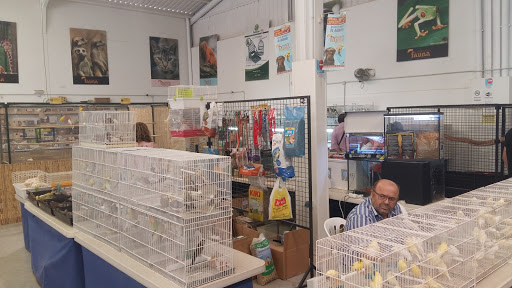 Mercafauna en Casariche, Sevilla