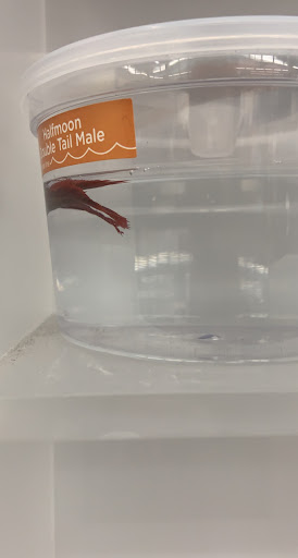 Pet Supply Store «Petco Animal Supplies», reviews and photos, 3452 W Chandler Blvd, Chandler, AZ 85226, USA