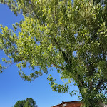 Photo n° 4 de l'avis de Bernard.a fait le 11/05/2023 à 14:00 pour Camping Sunêlia l'Hippocampe à Volonne