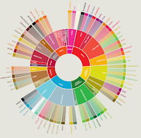 Carte du Donminzoni54 Wine & Spirits Coffee à Santarcangelo di Romagna