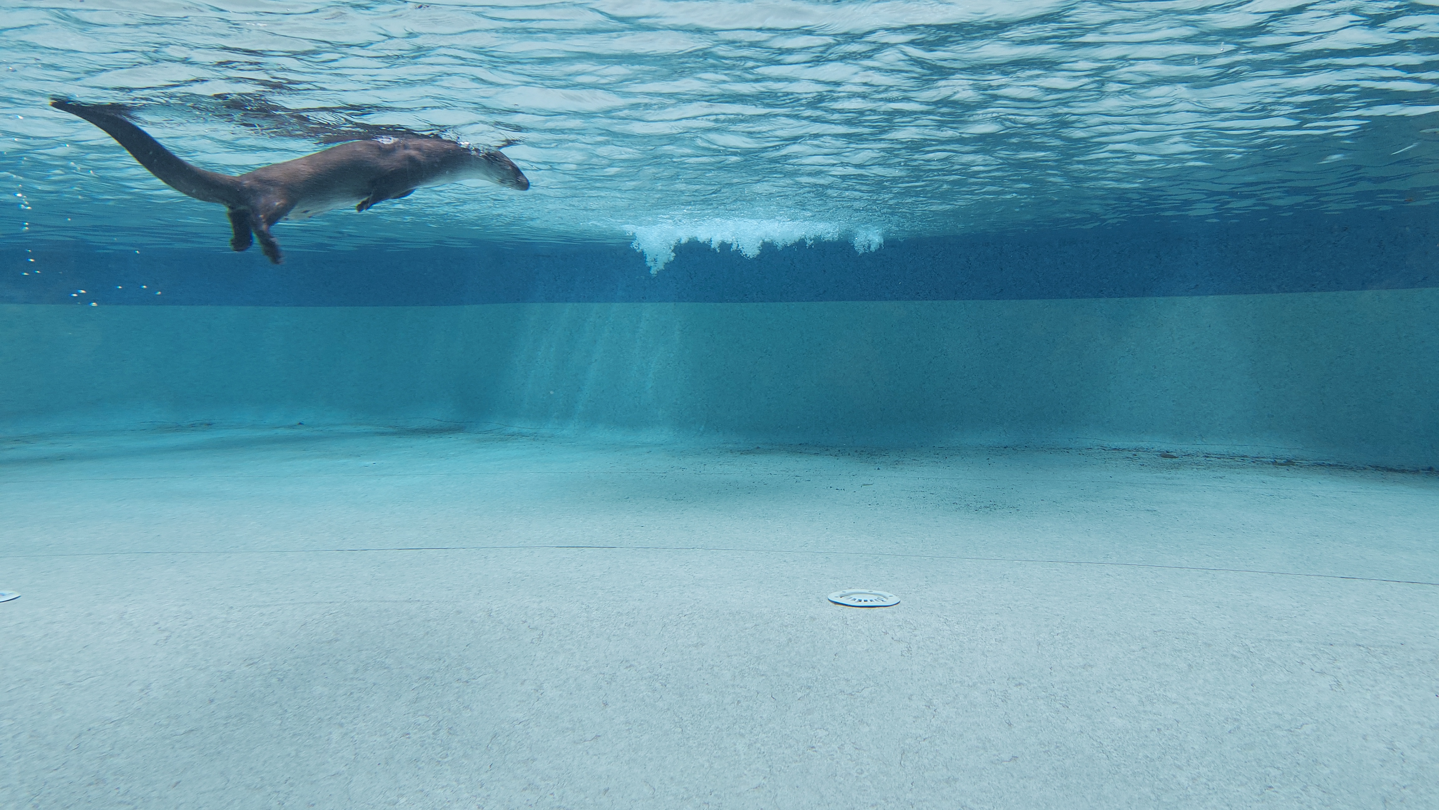 Photo n° 7 de l'avis de Frederick.e fait le 06/07/2022 à 18:45