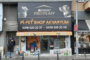 Pi-Pet Shop image