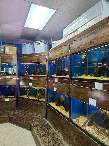 Pet Supply Store «Tropical World Pets», reviews and photos, 8444 Watson Rd, Webster Groves, MO 63119, USA