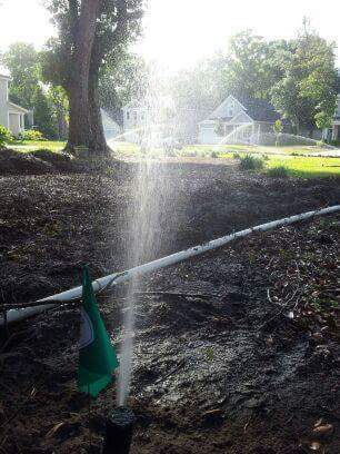Immaculate Irrigation