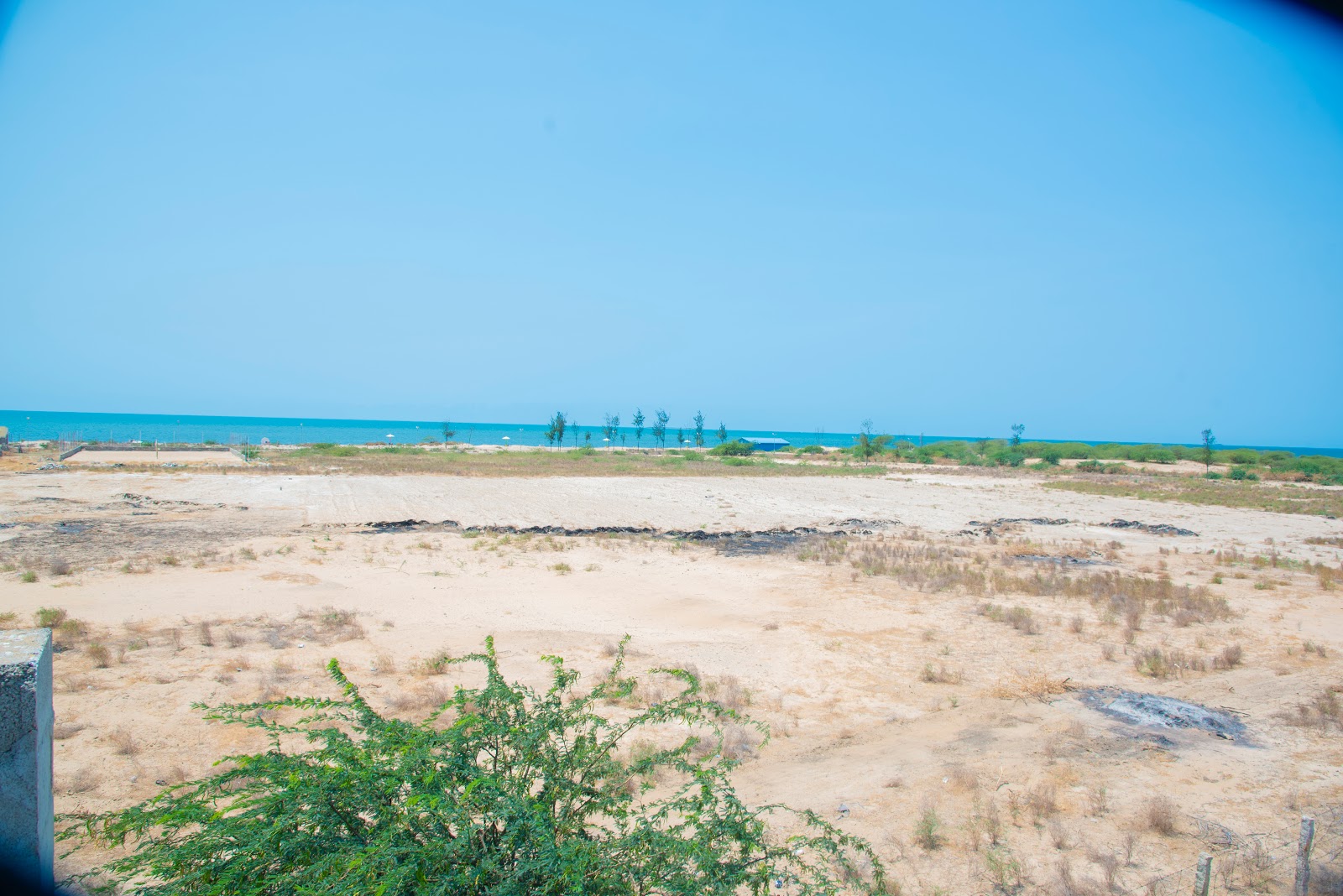 Foto von Tharuvai Kulam Beach und die siedlung