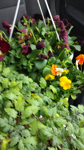 Home Improvement Store «Menards», reviews and photos, 6401 SW 17th St, Topeka, KS 66604, USA