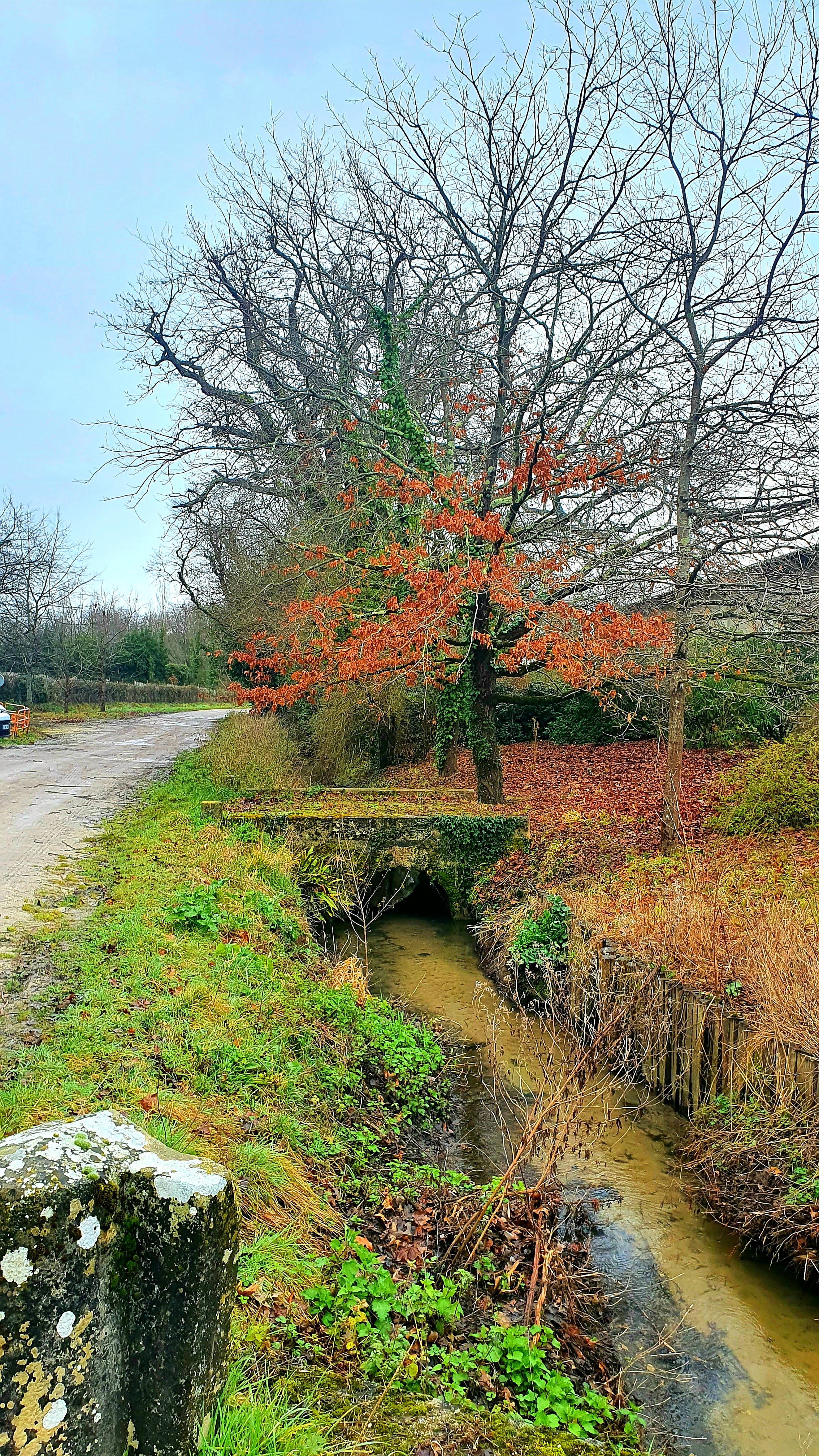 Photo n° 5 de l'avis de Alae. fait le 16/03/2022 à 19:24