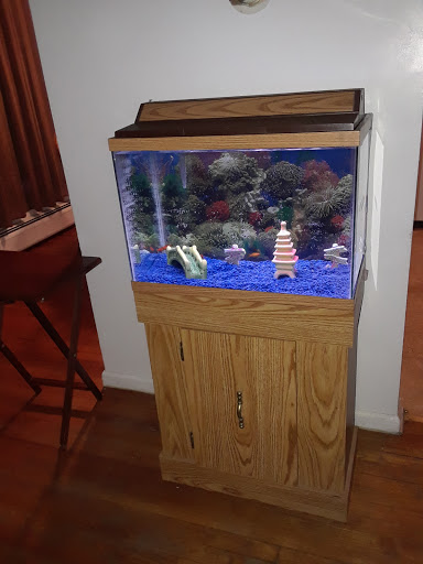 Pet Store «Petland Discounts - Irvington», reviews and photos, 1054 Springfield Ave, Irvington, NJ 07111, USA