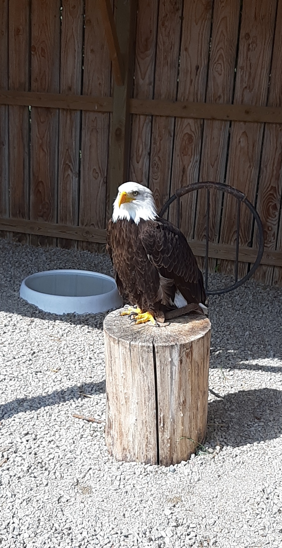 Photo n° 4 de l'avis de Marine.e fait le 20/08/2019 à 16:48