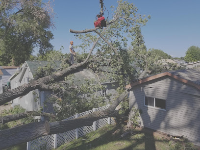 Beld Tree Service