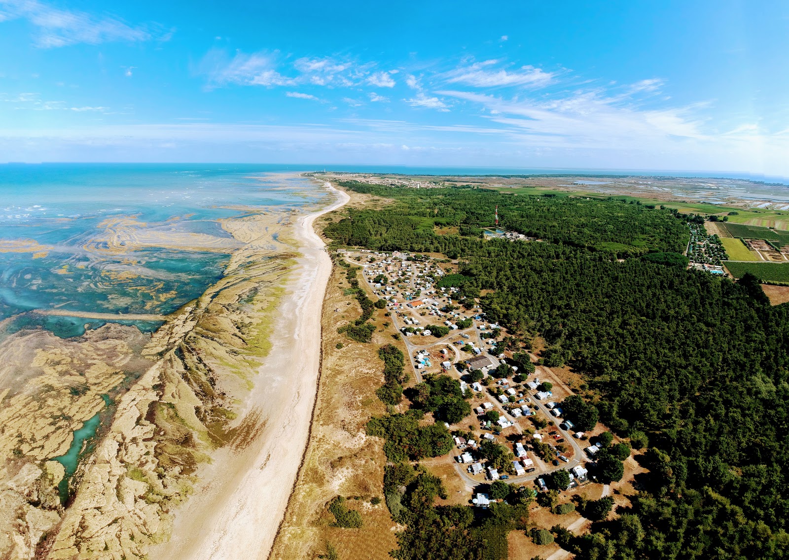 Foto af Campiotel beach vildt område