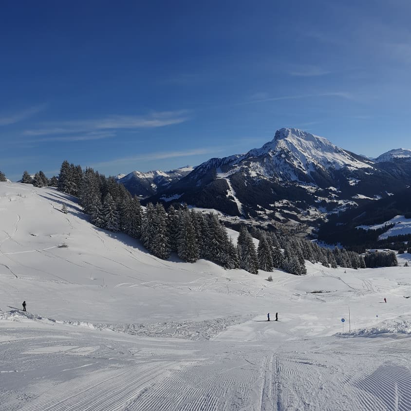 Photo n° 3 de l'avis de Maxime. fait le 26/01/2020 à 11:34