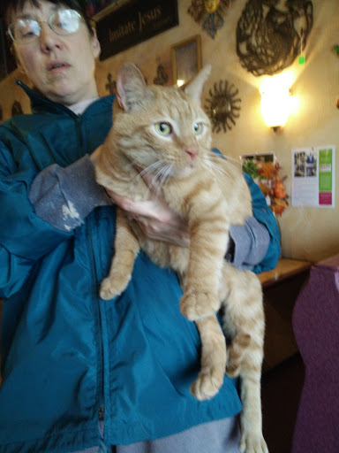 Caribbean Restaurant «Haitian Sensation Coffee Shop», reviews and photos, 869 E State St, Sharon, PA 16146, USA