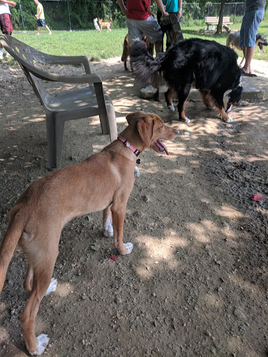 Dog Park «Worthington Off Leash Dog Park», reviews and photos, 8170 Hillsborough Rd, Ellicott City, MD 21043, USA